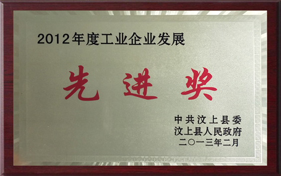2012年度工業(yè)企業(yè)發(fā)展先進獎